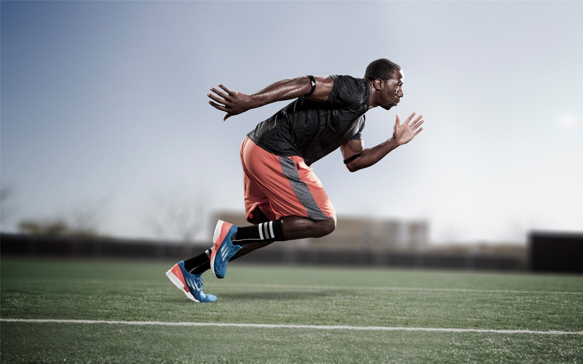 体育心理辅导助力运动员表现，体育心理辅导助力运动员表现怎么写