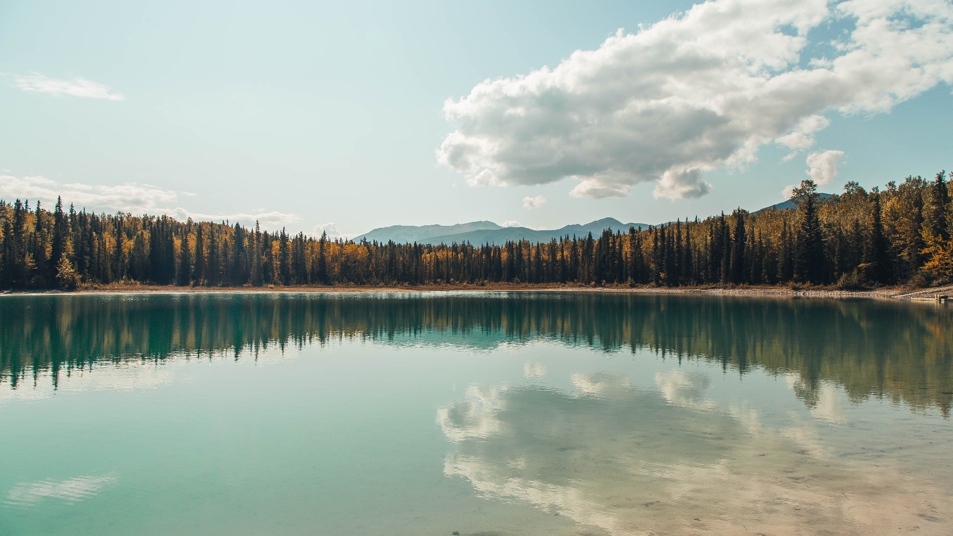 布朗、蒂格和塔图姆领衔的凯尔特人目标夺冠,凯尔特人布朗打什么位置